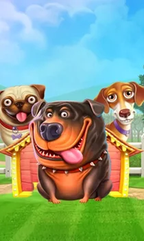 The Dog House