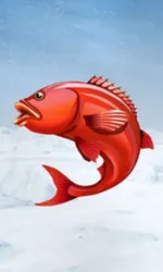 Ice Fishing